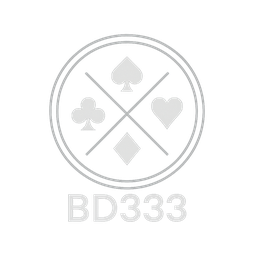 BD333 logo